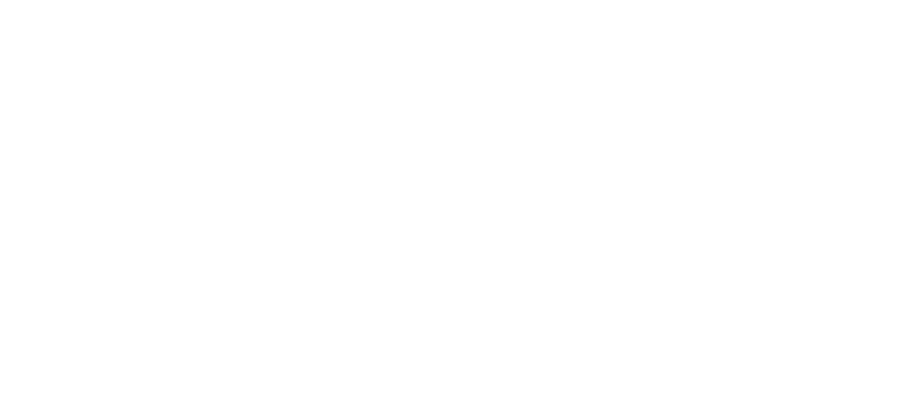 PNC UNIQUE